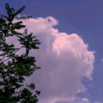 果盘九天仙梦手机版下载
